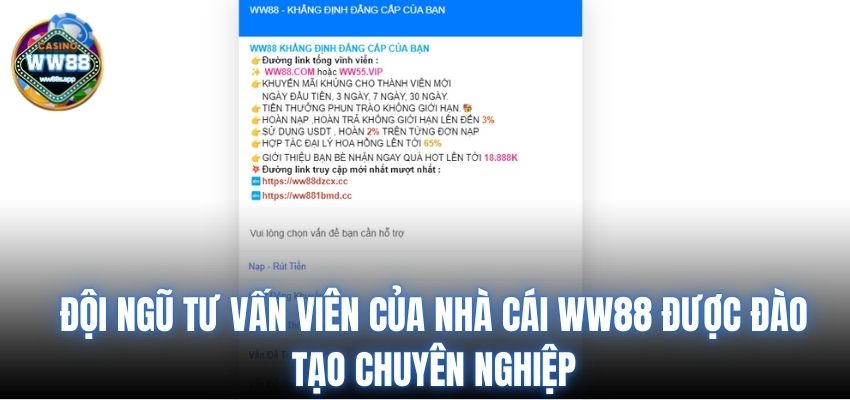 Đá gà Thomo hôm nay BJ72 - Khám Phá Thế Giới Đầy Kích Thích Của Những Trận Đấu Gà